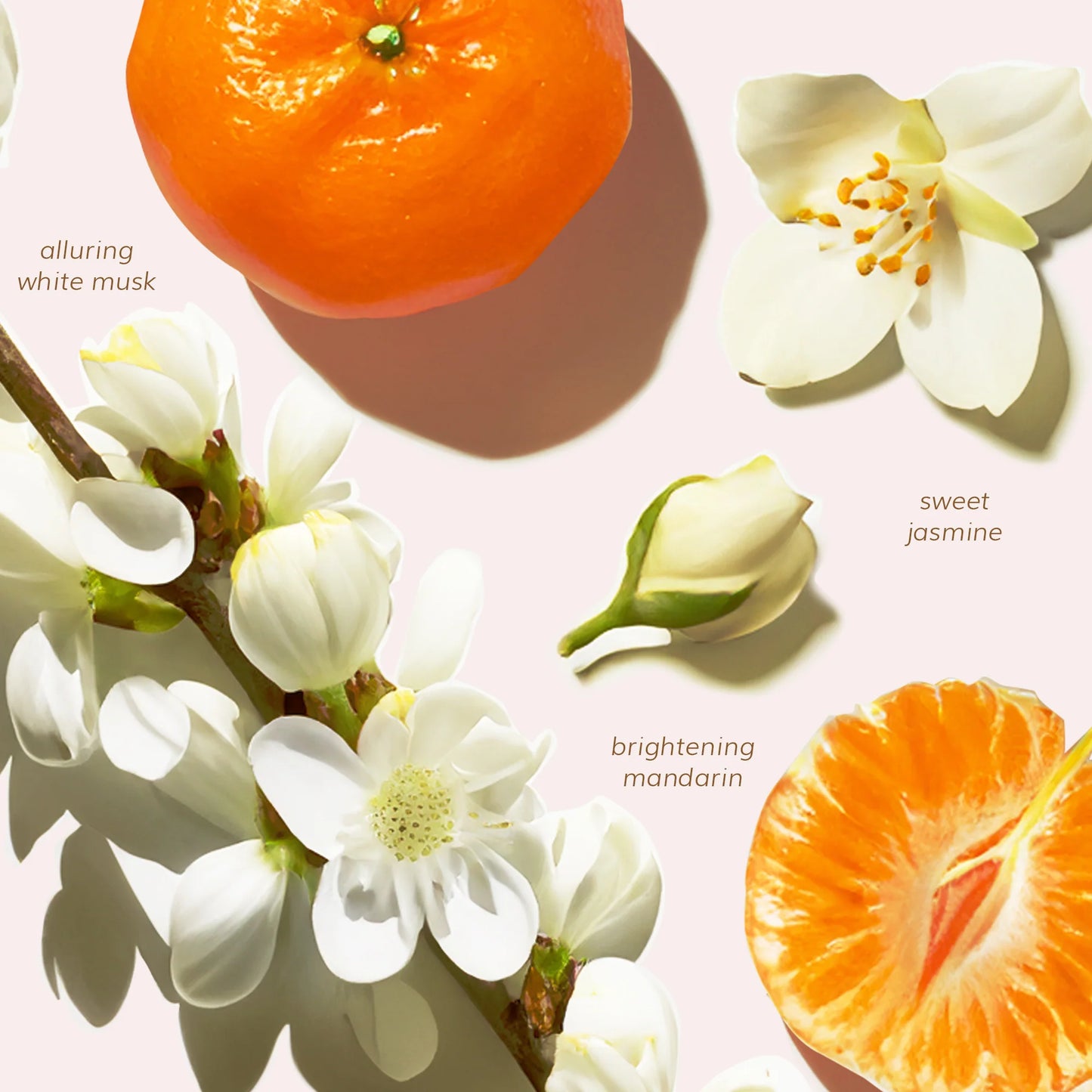 Abyssian Deep Hydration Shampoo & Deep Hydration Conditioner 1+1 Set 提高髮絲光澤&柔軟度! (各500ml) 深層柔軟髮絲修復洗護套裝𖤐